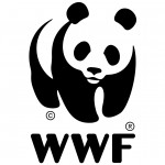 офіційний логотип WWF 